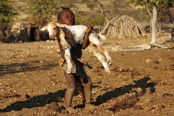 Little Himba boy carrying a goat