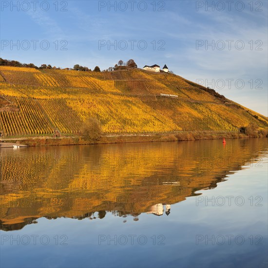 View of Marienburg Castle over vineyards in autumn