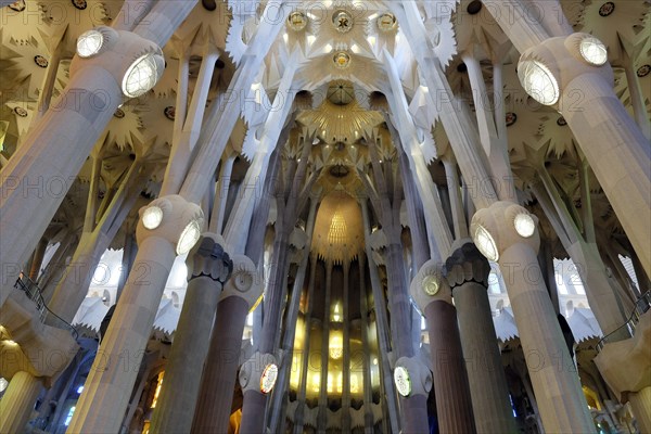 Interior view ceiling vault