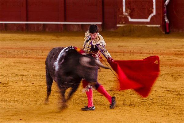 Racing bull with Matador