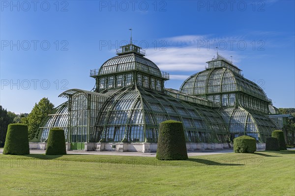 Palm House