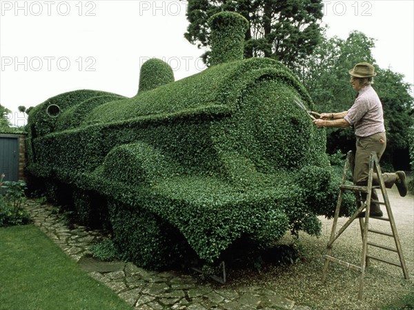 Gardener cuts draught from a hedge