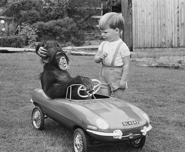 Monkey and boy with toy car