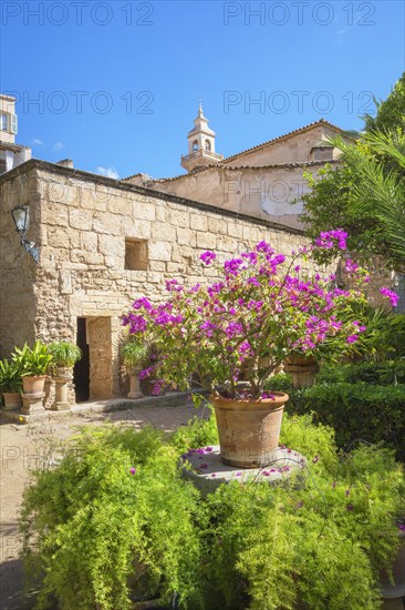 Garden in Arab baths