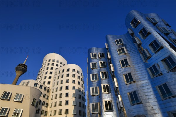 Rhine Tower with Gehry buildings