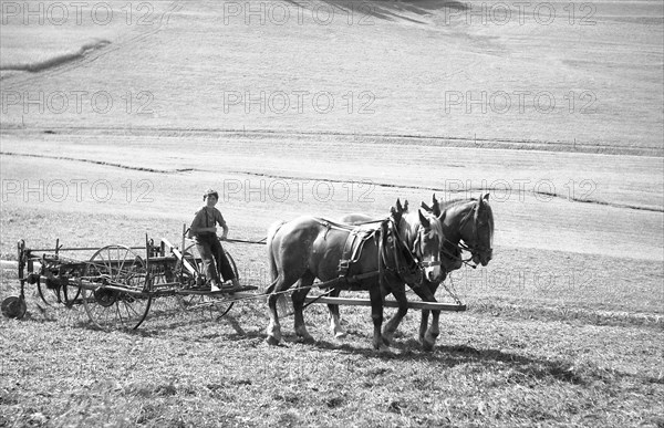 Child plows field with strained horses