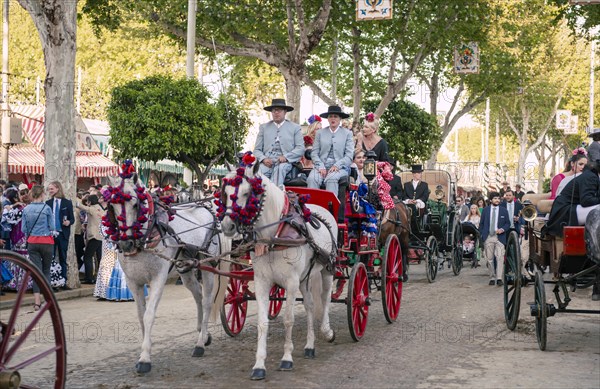 Decorated horse-drawn carriage