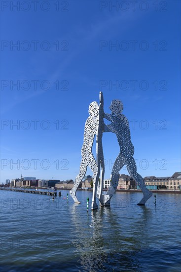 The Molecule Man