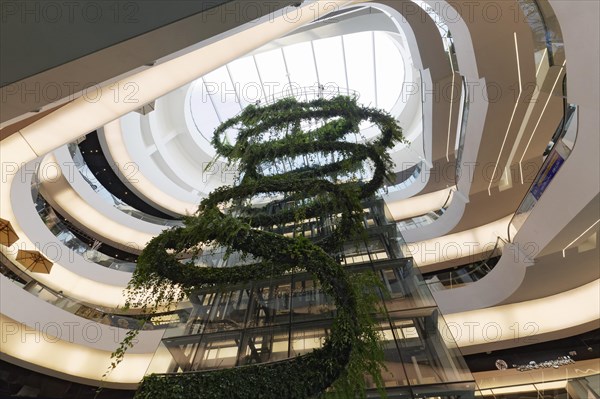 Atrium with green glass elevator