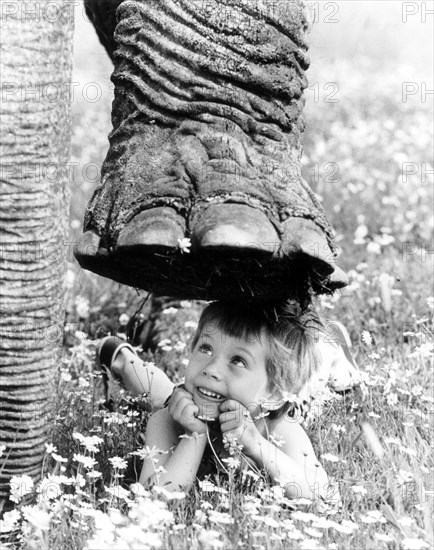 Elephant foot over child