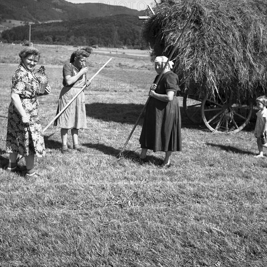 Woman giving water to field workers