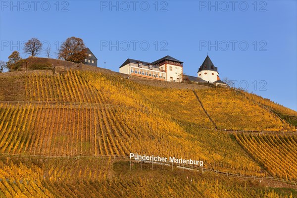 View of Marienburg Castle over vineyards in autumn