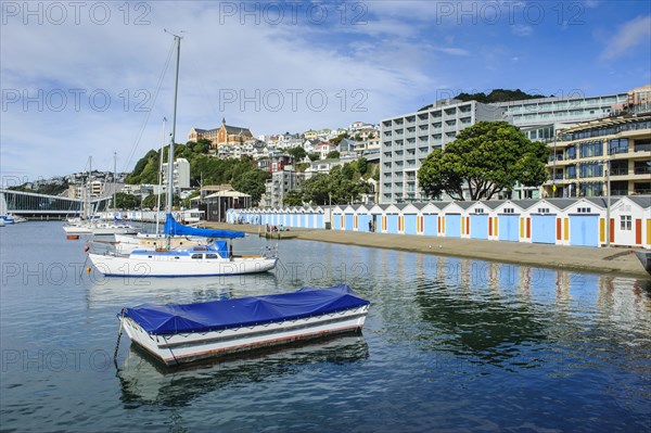 Little boats in the harbour of Wellington
