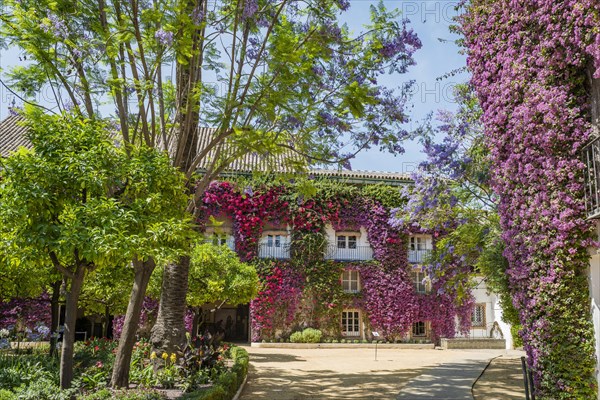 Exterior facade with Bougainvillea