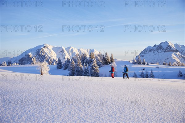 Snowshoeing