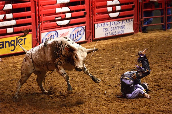 Stockyards Championship Rodeo