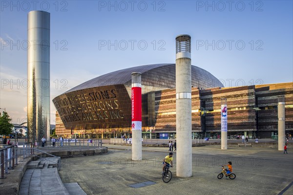 The Welsh Millennium Center