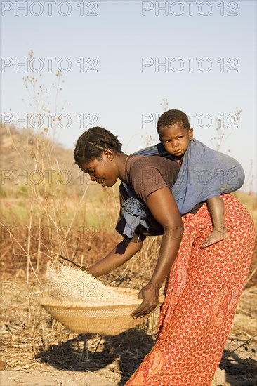 Tonga woman with child on her back sifting grains