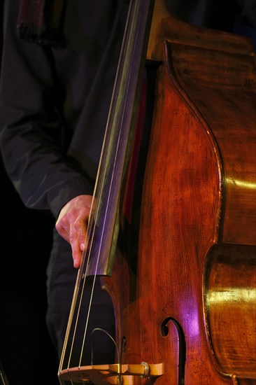 Conrad Steinhoff of the Gerold Heitbaum Quartet plucking on contrabass