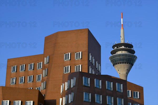 Rhine Tower with Gehry buildings