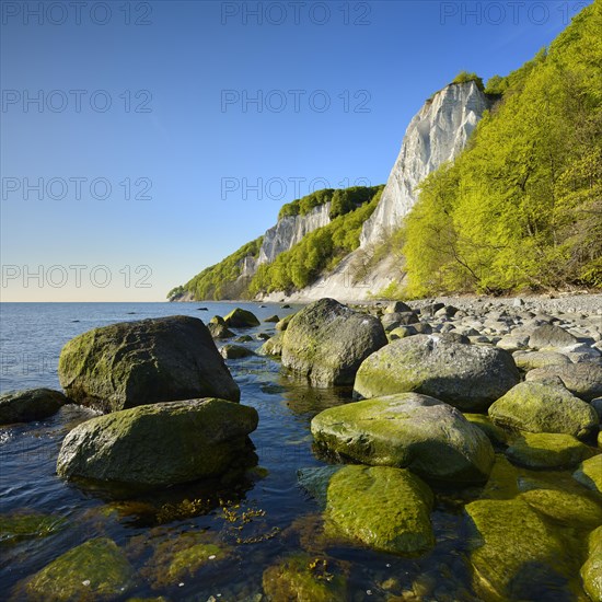 Chalk rocks and boulders on the Baltic Sea in spring