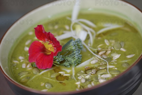 A bowl of healthy Green Goddess home-made soup made of freshly pureed organic greens and vegetables