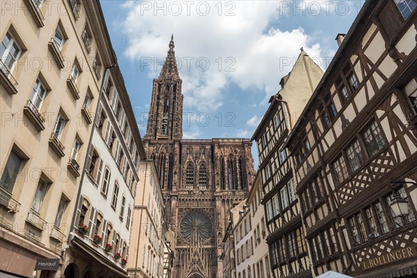 Cathedral of Our Lady of Strasbourg