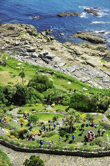 Subtropical gardens at the foot of Mount St. Michael's Mount