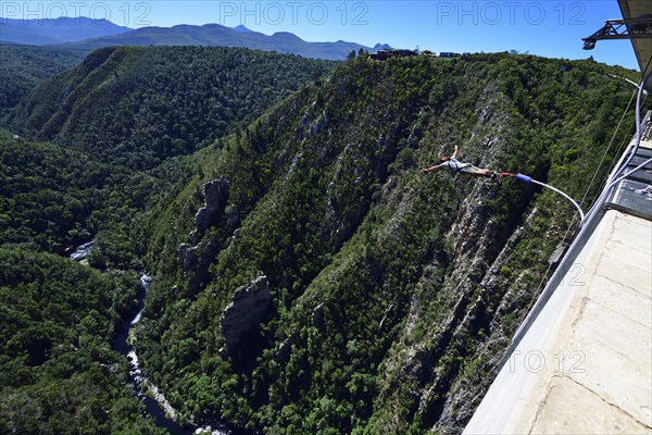 Bungee Jumping at Bloukrans Bridge