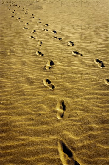 Foot prints in sandy beach