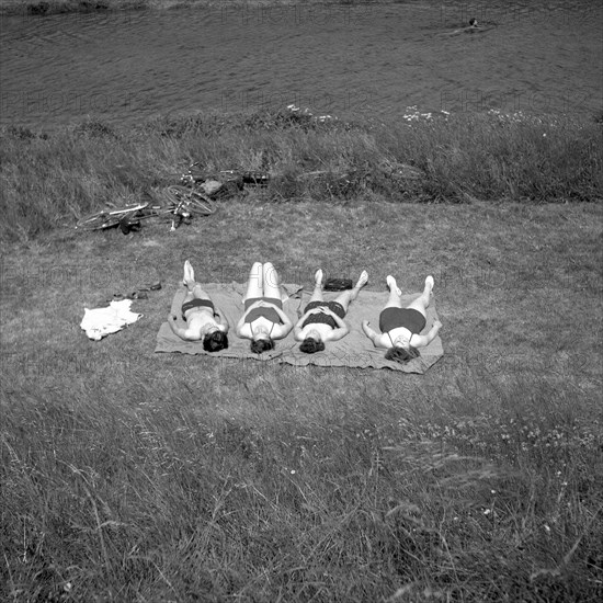 Four people lie on the shore and sunbathe