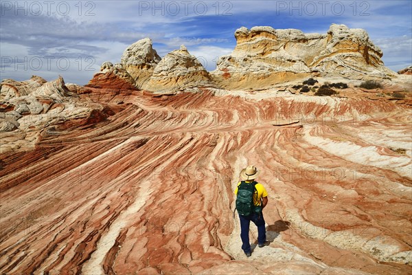 Hiker in White Pocket Canyon