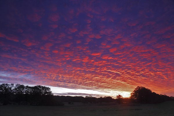 Sunrise with Altocumulus clouds over the Lobben Lake