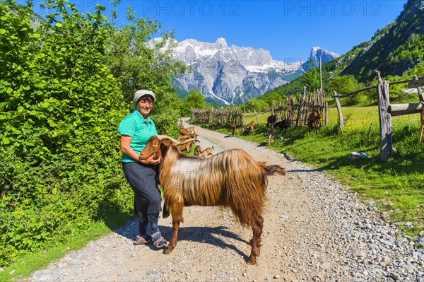 Shepherdess and her goats