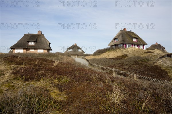 Thatched houses