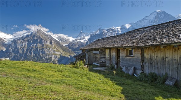 Bussalp with the Eiger North Face in the back