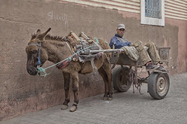 Man on donkey cart during a break