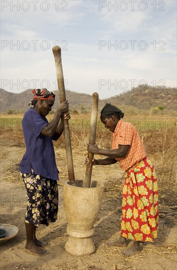 Tonga women pounding grain