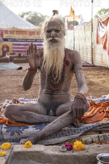 Naked Sadhu during Hindu festival Kumbh Mela
