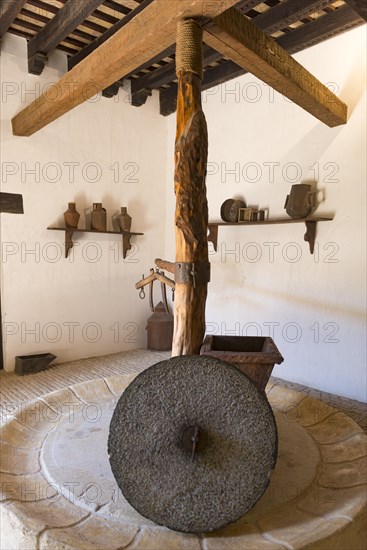 Olive oil press in the Alcazar de Jerez