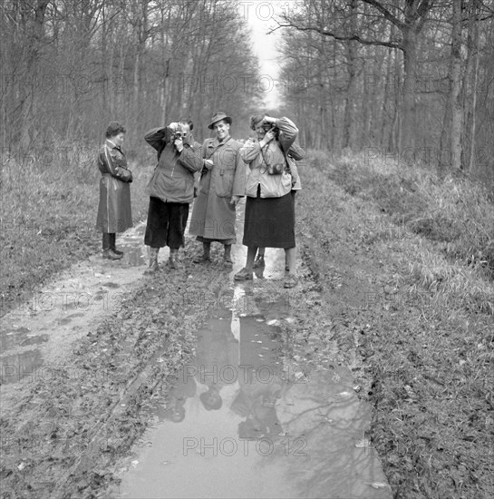 Humans on a forest road