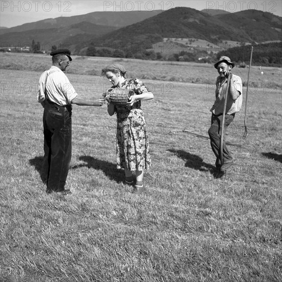 Woman pouring water into a field worker