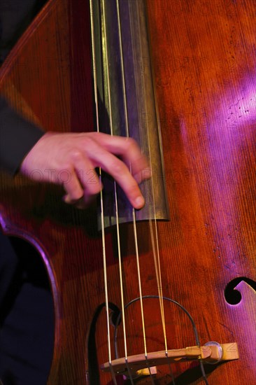 Conrad Steinhoff of the Gerold Heitbaum Quartet plucking on contrabass