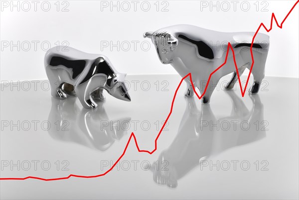 Symbol image Share price bull and bear