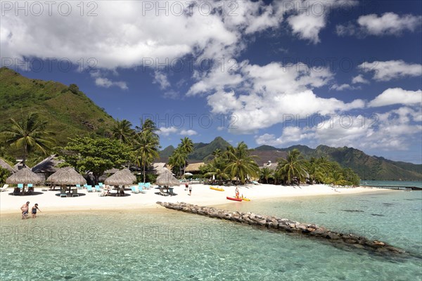 Beach with umbrellas and palm trees