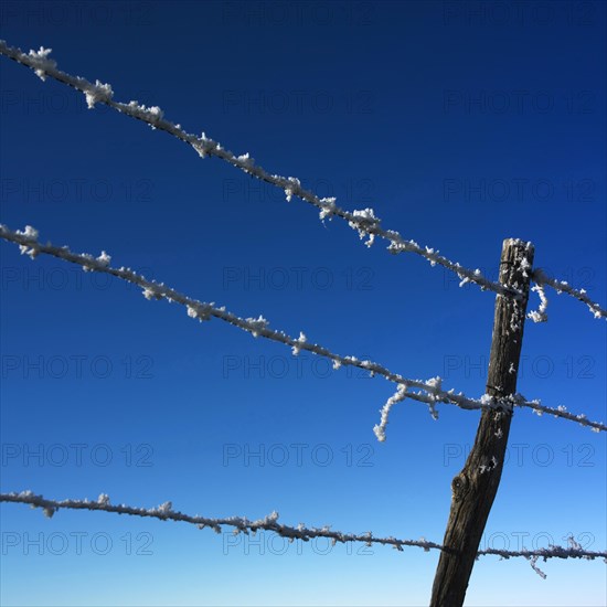 Barbed wire with frost in winter in front of blue sky