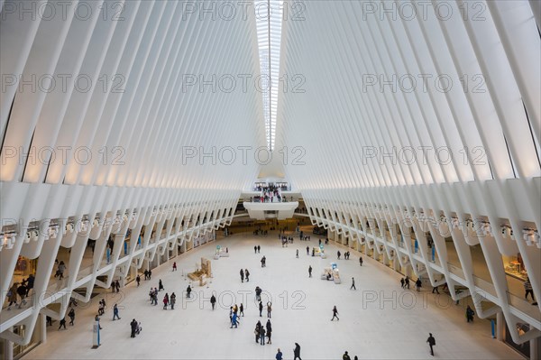 Oculus Subway Station