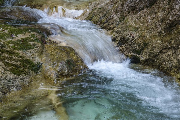 Wildbach in the Almbachklamm