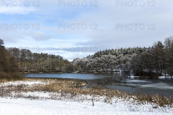 Small lake in the forest area in winter