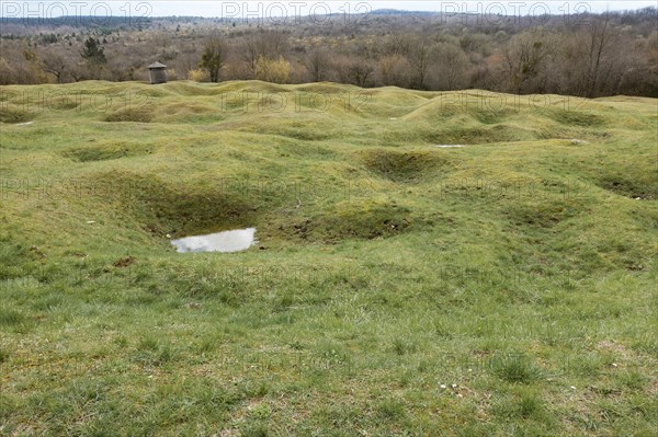 Open terrain with grenade funnels overgrown with grass